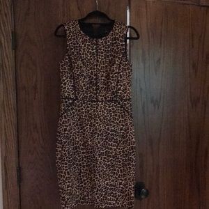 NWT JCrew Sheath Dress